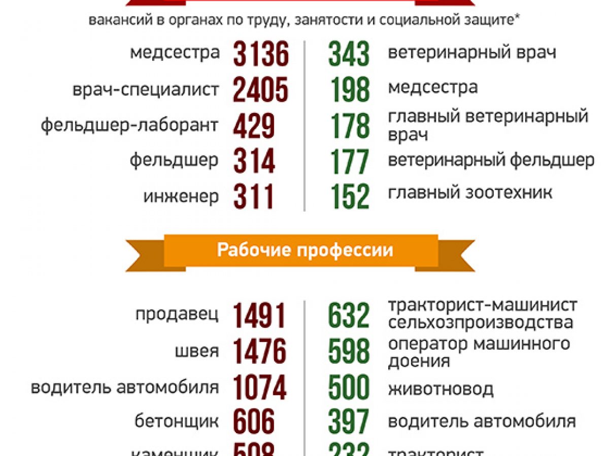 Самые востребованные профессии на рынке труда Беларуси – Могилевский район  Новости. Приднепровская нива. Новости Могилева и Могилевского района