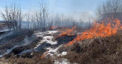 Первый пожар сухой травы зарегистрирован в Могилевской области