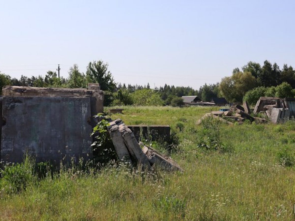 Заводская слобода – Могилевский район Новости. Приднепровская нива. Новости  Могилева и Могилевского района