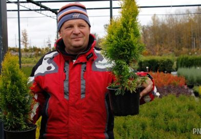 Какой сюрприз готовит предприниматель, нашедший второе призвание в восстановлении ретро-транспорта?