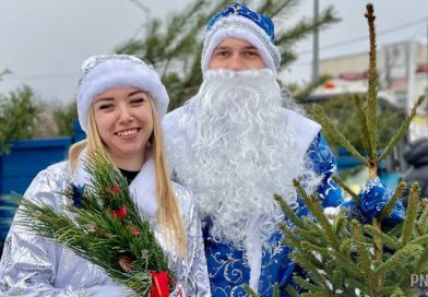 Озвучены цены на живые елки и сосны от Могилевского лесхоза