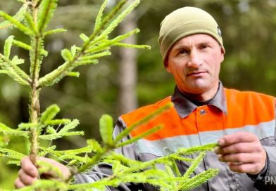 Многодетный отец из агрогородка Вендорожа один воспитывает троих детей