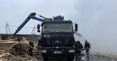 На пилораме в Могилевском районе произошел пожар